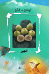 فلش کارت اشیاء و میوه ها در قرآن thumb 5
