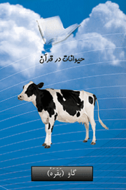 فلش کارت حیوانات در قرآن gallery1