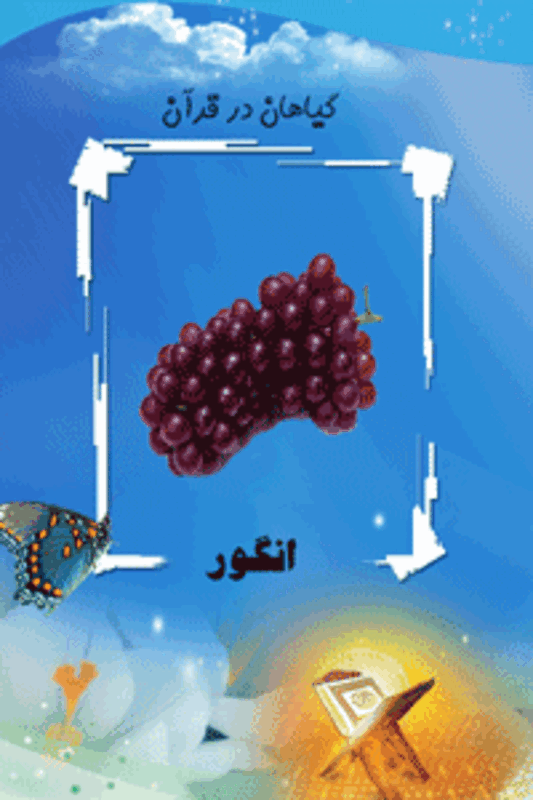 فلش کارت اشیاء و میوه ها در قرآن gallery2